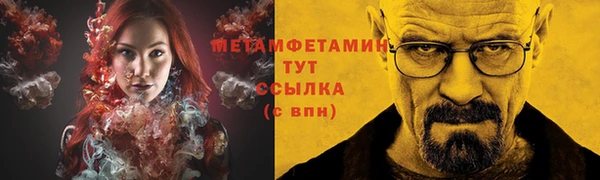 гидра Карпинск