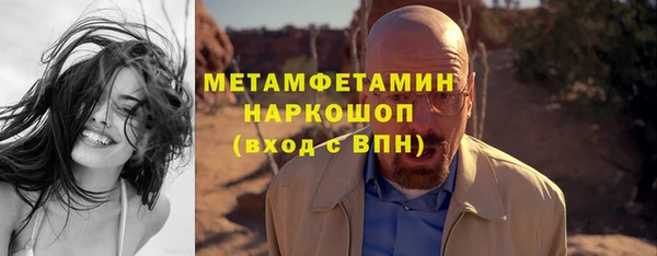 гидра Карпинск