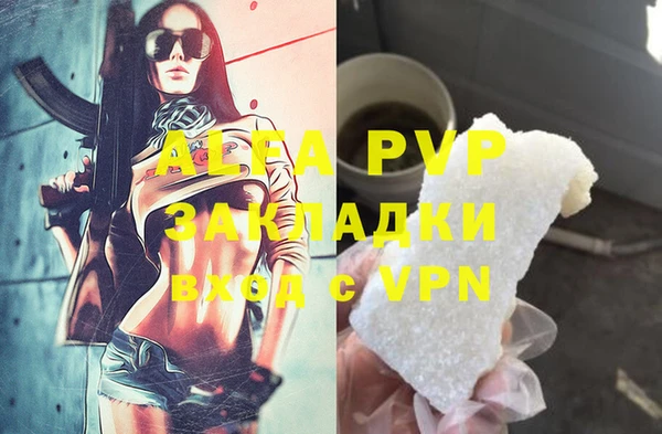 гидра Карпинск