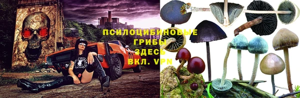 бошки Карталы
