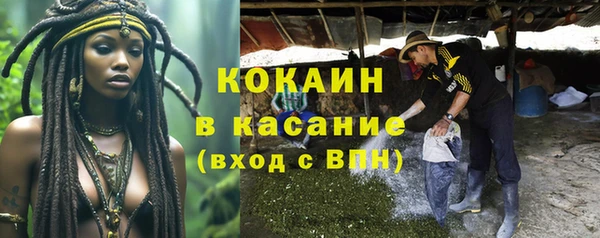 гидра Карпинск
