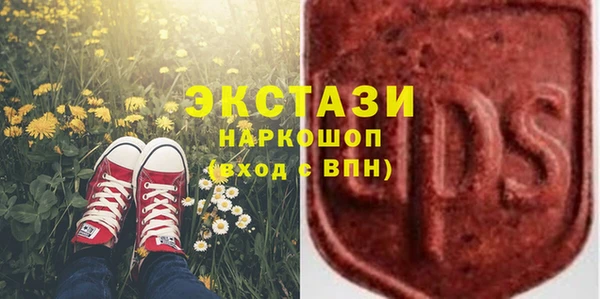 гидра Карпинск