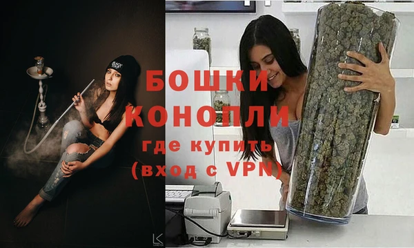 гидра Карпинск