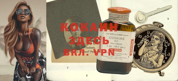 кокс Касимов