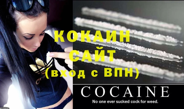 гидра Карпинск