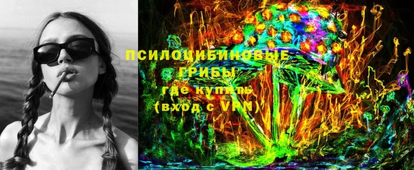 кокс Касимов