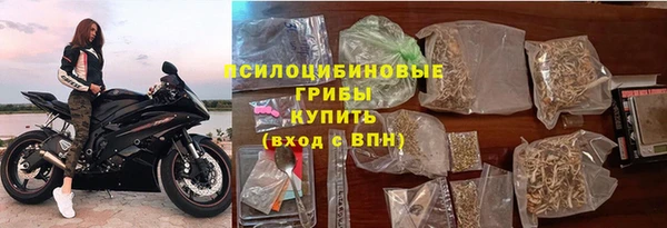 spice Каменногорск
