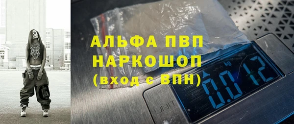 кокс Касимов