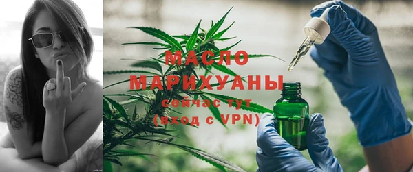 гидра Карпинск